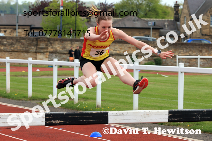 Steeplechase, 2026 Elswick Harriers Event, Wentworth, Hexham. Photo: David T. Hewitson/Sports for All Pics